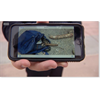 Denver police chief: Officers found weapons, gas cans planted in protest area