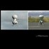 You thought you saw planes on 9-11. That was the point! U.S. Air Force Airborne Holographic Projections