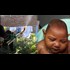 Doctors Name MONSANTO Larvicide As Cause of Brazilian Microcephaly Outbreak