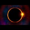 Last Total eclipse will be followed by another total eclipse in 2024 that will mark a giant