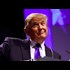 Well Destroy His Career: Trump On Senator Who Wants Civil Asset Forfeiture Reform (Video)