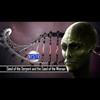 Seed of the Serpent and the Seed of the Woman w Dr. Stephen Pidgeon