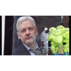 Assange is being Tortured in UK with same Drug Used in Skripal Poisoning - Held incommunicado in the UK's Gitmo, retired USAF Lt. Colonel reports