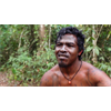 Emboldened by Bolsonaro, Illegal Loggers in Amazon Kill Indigenous Leader Paulo Paulino Guajajara