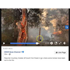 Fires Begin Anew in the NW, Underground Lightning This Has to be DEW - Now in their fourth yr the scope of the firestorms must rival the genocide of the NA that came in the wake of European expansion