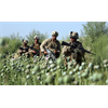 War is Good for Business and Organized Crime: Afghanistan's Multibillion Dollar Opium Trade. Rising Heroin Addiction in the US