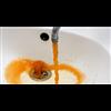 Flint Water Crisis Likely Killed 10 Times the Official Death Toll: Report