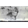 M K Davis discusses frame 362 of the Patterson film (Bigfoot)