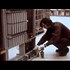 WTC Towers' construction & wiring