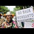 Neil Young is Starving the Poor! The Pro-GMO Lobbys Latest Scapegoat