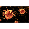 Breakthrough? Single dose of common agricultural drug Ivermectin found to