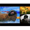 Michael Phelps the Genetically Modified Human
