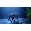 Boston Dynamics:
