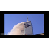 Birds can't fly through steel beams