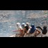 Abby Martin's The Empire Files: Inside the Hotbeds of Israeli Settler Terror