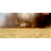 Trump ordered US Forces to Burn Hectares of Wheat Field in Syria amid CoVID-19 Pandemic:Russia Media