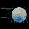 Flat Earth is DEAD - Sunlight and the Gleason map