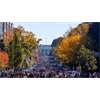 Confused. Biden could not muster major crowds at his campaign, but now they're out. Are these people rent-a-crowd?