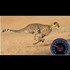 The Fastest Animals in the World 2017