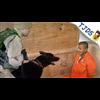 Obama Protected Torturer Now Becoming CIA Director