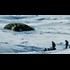 UFO Crash-Lands In Canada: Government Cover-Up As We Speak
