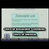 911 Missing Links - Mossad Involvement