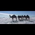 Snow blankets northern Algeria, paralyzes the country for a week