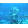 Atlantis Capital Location Evolution (Jimmy + Wayne + My 1500s Portugal Empire Archetype)