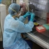 An Unprofitable Disease: In the Political Economy of Ebola, Who Lives and Who Dies?