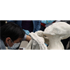 Major Announcement on the Peruvian Three-Fingered, Possibly Alien Mummies | Mysterious Universe