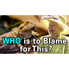 Who Started the Lizard People Conspiracy Theory?