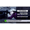 Violent white supremacists trained by Ukrainian neo-Nazi militia - FBI