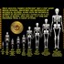 Who Are the Nephilim?