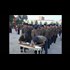 Koreas resume crisis talks, South says North deploying subs