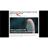 Agenda 21 Wrapped in a Pandemic (RichieFromBoston)