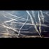OPERATION INDIGO SKYFOLD: THE MOST SECRET COVERT BLACK OPERATION IN WORLD HISTORY