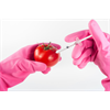 After Reading This Article About The Danger Of GMOs, You Will Probably Never Want To Eat Genetically-Modified Food Again