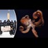 Is 14-legged killer squid found TWO MILES beneath Antarctica being weaponised by Putin?