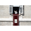 Pope declares Vatican's Secret Archive not so secret anymore