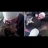 NSFL Video: Cops Break Down Door Without Warrant, Sic Dog On Man With Hands Up - Cop: