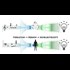 Telecoms to Send Passwords Through Your Bones With Bioacoustic Signals (Truthstream Media)