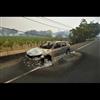 Let's Make Cars Out of Grapevines to Avoid Brushfire Damage in the Future