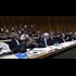 United Nations Panel Slams U.S. Record on Police Brutality, Torture, Child Migrants & Guantánamo