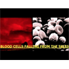 Lab Results Test Positive, Blood Cells Falling From The Skies. Archon Buffet