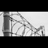 Texas Senate Bill 538 Contains Internment Camp Provision