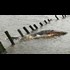 DR WILLIAM MOUNT: Trumps Got Stones Protects 2nd Amendment