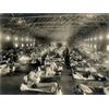 Did a Military Experimental Vaccine in 1918 Kill 50-100 Million People Blamed as