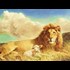 I may have found the REAL Isaiah 11:6!!!!(Mandela/Quantum Effect)