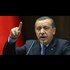 'Know your place!': Erdogan on US official's reaction to failed coup aftermath