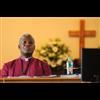 ( South Africa ) - EFF calls for church lands to be nationalised for